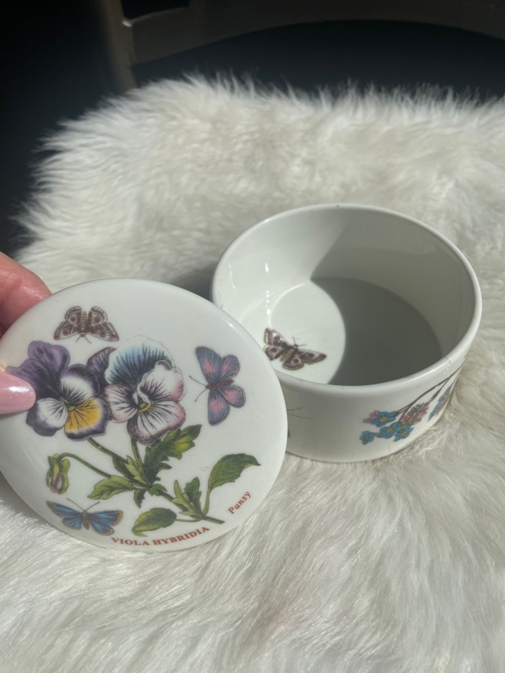 🌷 NEW Portmeirion Pansy Viola Hybridia Trinket Box in Purple, Yellow, Green - Picture 2 of 4